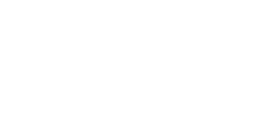 Arizona International Film Festival laurel