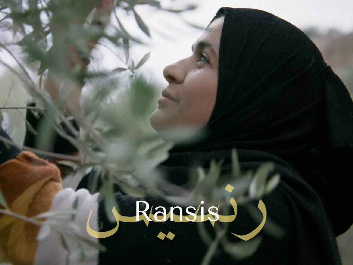 Ransis